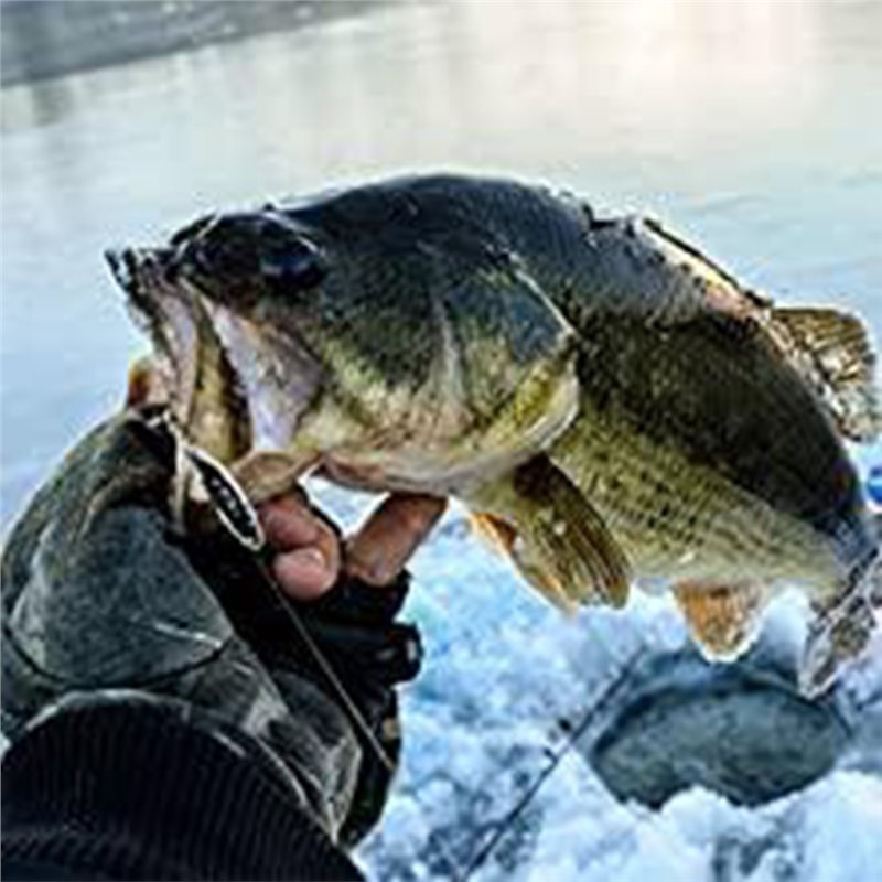 Fish Finder Portable - ABLB-Trasduttore per Ecoscandaglio da Kayak, Ecoscandaglio